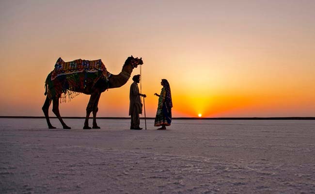 Gujarat Heritage Tour